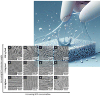 Graphical abstract: Tailoring poly(vinylbenzocyclobutene)-b-poly(4-vinylpyridine) isoporous block copolymer membranes: functionalization and performance optimization