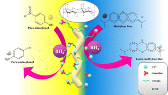 Graphical abstract: Fabrication and catalytic efficiency of functionalized bacterial cellulose nanofibers for the reduction of 4-nitrophenol and methylene blue