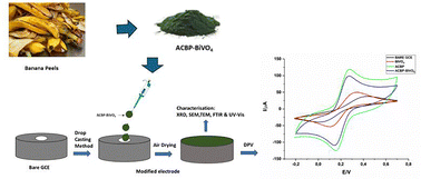Graphical abstract: Synergistic electrochemical detection of ciprofloxacin using bismuth vanadate nanocomposite-modified activated carbon derived from banana peel biomass