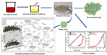 Graphical abstract: Design and DFT-based optimization of a GO-containing guar gum hydrogel for dye removal