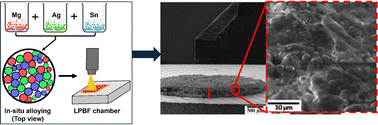 Graphical abstract: Additive manufacturing of commercially pure magnesium and Mg–2Ag–2Sn alloys by in situ alloying during laser powder bed fusion