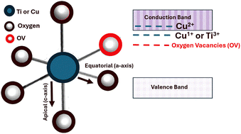 Graphical abstract: Photoinduced supercapacitance and photocatalytic performance of TiO2 enhanced by electronic band structure modification using Cu-doping