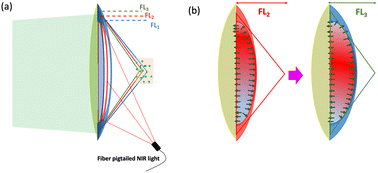 Graphical abstract: Optical and photothermal properties of CsWO3 nanoparticles endow poly(dimethylsiloxane) fluidic lenses with non-invasive thermo-optic and thermo-expansion effects for fluorescence imaging