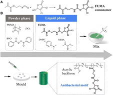 Graphical abstract: Furanone-based comonomer used to manufacture antibacterial bone cement with simultaneously enhanced mechanical strength and antibacterial activity