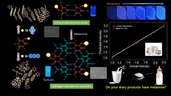 Graphical abstract: Planar vs. twisted pyrimidine derivatives: insights from molecular dynamics and predictive modelling for melamine detection in dairy products