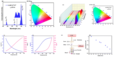 Graphical abstract: Dual-functional Tm3+/Yb3+-doped LiCaLa(MoO4)3 phosphors: high-sensitivity thermal sensing and deep-tissue NIR bio-imaging