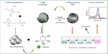 Graphical abstract: Hollow porous molecularly imprinted polymer for xylose detection in sugarcane bagasse by dispersive solid-phase extraction