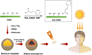 Graphical abstract: High-performance hollow microspheres for UV protection from cinnamate-functionalized cellulose nanocrystals and inorganic nanoparticles