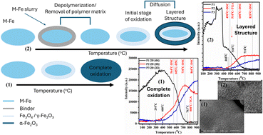 Graphical abstract: Oxidation behavior of iron and binder-mixed iron: insights from TGA–DSC and in situ XRD analysis for field emission application