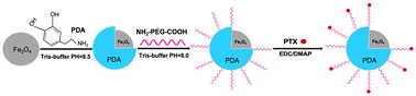 Graphical abstract: PTX-loaded Fe3O4@polydopamine nanoparticle complexes for antitumor therapy cell carcinoma: synergistic chemotherapy and in vivo efficacy