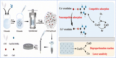 Graphical abstract: Unveiling superior creatinine detection: advanced electrochemical biosensor with remarkable sensitivity