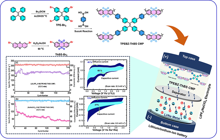 Graphical abstract: Synergistic bifunctional conjugated microporous polymer as an organic anode containing tetraphenylethene and thianthrene-5,5′,10,10′-tetraoxide units for lithium and sodium-ion batteries