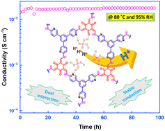 Graphical abstract: Dual molecular interaction-triggered stable proton conductive channels in heteroatom-embedded covalent organic frameworks