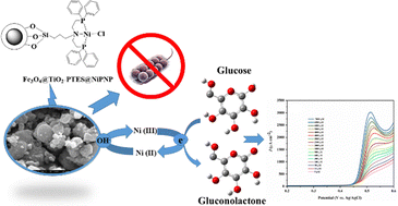 Graphical abstract: Synthesis of a hybrid material based on a high-surface-area magnetic Fe3O4@TiO2 core–shell structure and immobilized Ni–PNP aliphatic pincer complex: study of the structural, magnetic, and antibacterial properties and nonenzymatic electrochemical sensing of glucose