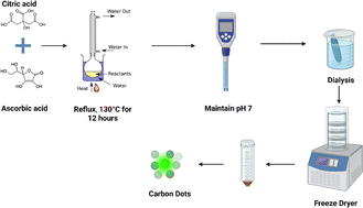 Graphical abstract: Selective cellular uptake and cytotoxicity effects of fluorescent carbon dots: a comparative study in cancer and normal cells