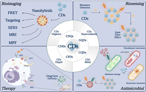 Graphical abstract: Biomedical applications and future perspectives of carbon dots and their hybrid nanomaterials