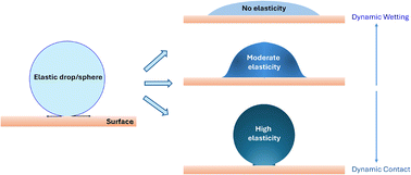 Graphical abstract: Short-time spreading dynamics of elastic drops