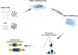 Graphical abstract: Engineering 3D-printed standalone conductive nerve guides using soft bioinks for peripheral nerve injuries