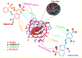 Graphical abstract: Shrimp shell-derived chito-protein nanocomposites for sustainable dye effluent remediation: efficiency, reusability, and environmental safety