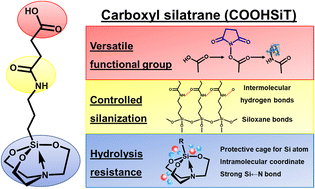 Graphical abstract: Controlled silanization and biomolecular conjugation via ultra-stable carboxyl silatrane for neurofilament light chain detection