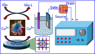 Graphical abstract: Complexation-driven synthesis of potassium copper ferrocyanide nanoparticles for nonenzymatic glucose detection: an electrochemical and FET-based approach