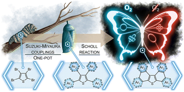 Graphical abstract: Shortcut to highly π-extended optoelectronic systems based on the dibenzothiophene core