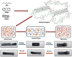 Graphical abstract: Designing PANI-modified PU films coupled with CNTs for enhanced shape memory properties