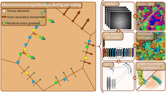 Graphical abstract: Tramp element drag on grain boundaries controlling microstructural and residual stress equilibration in copper thin-films