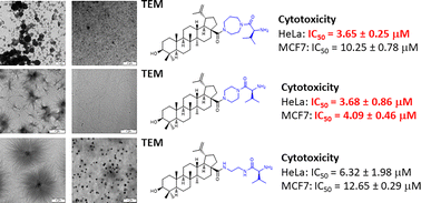 Graphical abstract: Nano-assembly and cytotoxicity of the l-valine–polyamine conjugates of betulinic acid