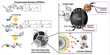 Graphical abstract: Visible light-driven photocatalytic properties of polyphosphodiester-protected silver nanocomposites