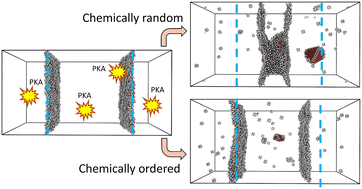 Graphical abstract: Local chemical order suppresses grain boundary migration under irradiation in CrCoNi