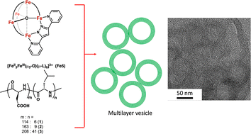 Graphical abstract: Supramolecular hybrid of Fe pentanuclear complex/diblock copolypeptide amphiphiles with pH-responsive nano/microstructures in water