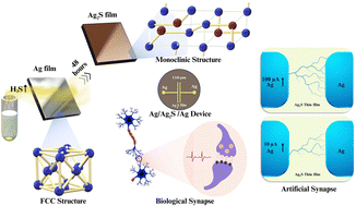Graphical abstract: Controlled sulfidation of silver: a pathway to Ag2S for short-term synaptic emulation