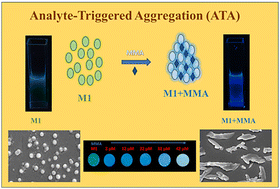 Graphical abstract: Smartphone-assisted urinary methylmalonic acid sensing using an imidazole-based probe via the analyte-triggered aggregation mechanism