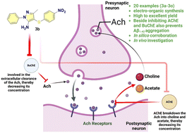 Graphical abstract: Design and development of sulfenylated 5-aminopyrazoles as inhibitors of acetylcholinesterase and butyrylcholinesterase: exploring the implication for Aβ1–42 aggregation inhibition in Alzheimer's disease