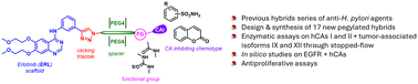 Graphical abstract: Pegylation approach applied to erlotinib–carbonic anhydrase inhibitors hybrids towards anticancer agents
