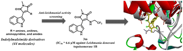 Graphical abstract: Indolylmaleimide derivatives as a new class of anti-leishmanial agents: synthesis and biological evaluation
