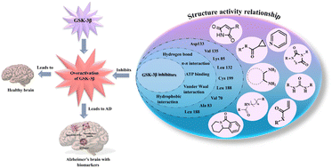Graphical abstract: Structure–activity relationship of GSK-3β inhibitors: insight into drug design for Alzheimer's disease