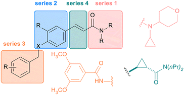 Graphical abstract: Development of small molecule inhibitors of ECM collagen secretion
