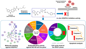 Graphical abstract: Design, synthesis, molecular modeling, and antiproliferative evaluation of new 2-oxoindolin-3-ylidene thiazole derivatives
