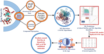 Graphical abstract: EGFRAP: a predictive machine learning model for assessing small molecule activity against the epidermal growth factor receptor