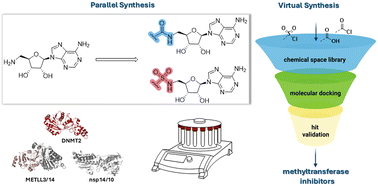 Graphical abstract: Parallel synthesis of 5′-amino-5′-deoxy-adenosine derivatives for focused chemical space exploration and their application as methyltransferase inhibitors