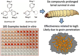 Graphical abstract: Structure–activity relationships of fenarimol analogues with potent in vitro and in vivo activity against Madurella mycetomatis, the main causative agent of mycetoma