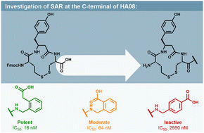 Graphical abstract: Novel macrocyclic peptidomimetics targeting the insulin-regulated aminopeptidase (IRAP): design, synthesis and evaluation