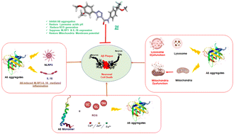 Graphical abstract: Synthesis and evaluation of HFIP bearing triazolo-amides as amyloid-β aggregation inhibitors and suppressors of aggregation induced neuroinflammation