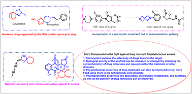 Graphical abstract: Therapeutic potential of spiro compounds against Staphylococcus aureus: a comprehensive review