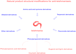 Graphical abstract: Recent advances in structural modifications of natural products for anti-leishmaniasis therapy (2010–2024)