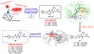 Graphical abstract: Design, synthesis, and biological evaluation of 2-phenylthiazole CYP51 inhibitors