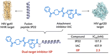 Graphical abstract: Design of a highly potent bifunctional HIV-1 entry inhibitor targeting both gp120 and gp41