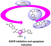 Graphical abstract: Click synthesis of some novel benzo[d]thiazole–1,2,3-triazole hybrid compounds with benzamide and/or benzoate tethers as EGFR-dependent signaling inhibitors against breast cancer